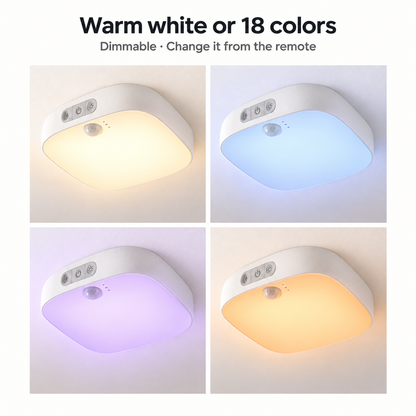 Ceiling Light - IP65 Waterproof
