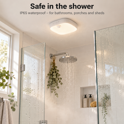 Ceiling Light - IP65 Waterproof